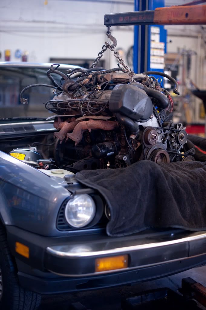 Reggies MotorWorks | Repairing BMW, Audi, Mercedes