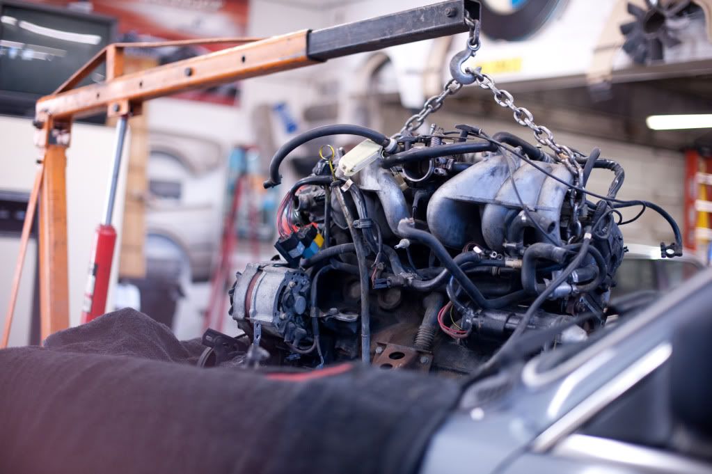 Reggies MotorWorks | Repairing BMW, Audi, Mercedes