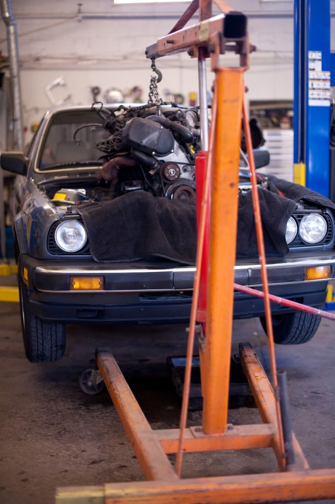 Reggies MotorWorks | Repairing BMW, Audi, Mercedes