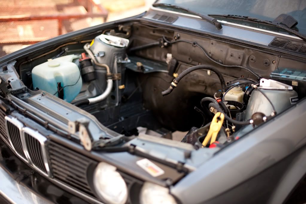 Reggies MotorWorks | Repairing BMW, Audi, Mercedes