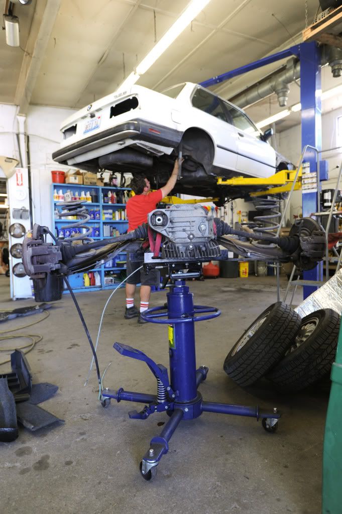 Reggies MotorWorks | Repairing BMW, Audi, Mercedes