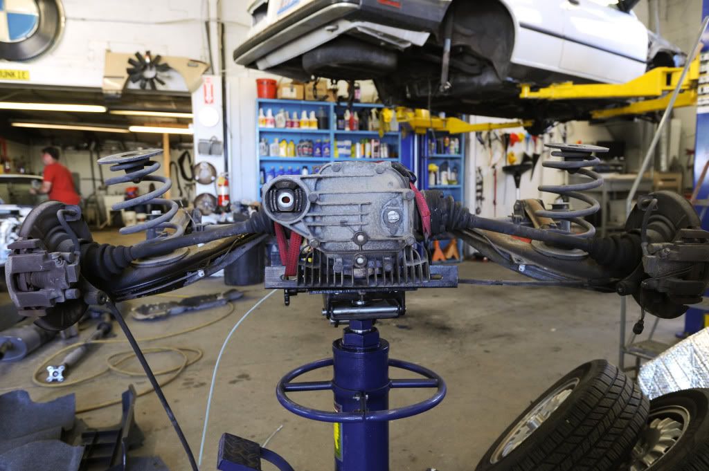 Reggies MotorWorks | Repairing BMW, Audi, Mercedes