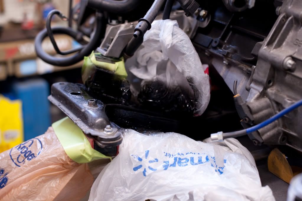 Reggies MotorWorks | Repairing BMW, Audi, Mercedes