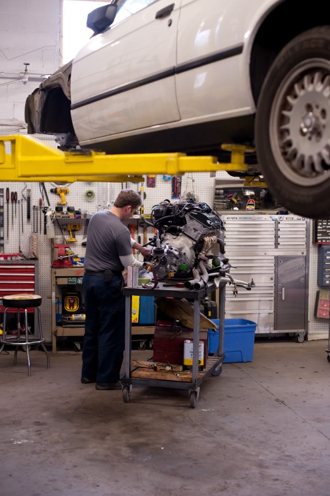 Reggies MotorWorks | Repairing BMW, Audi, Mercedes