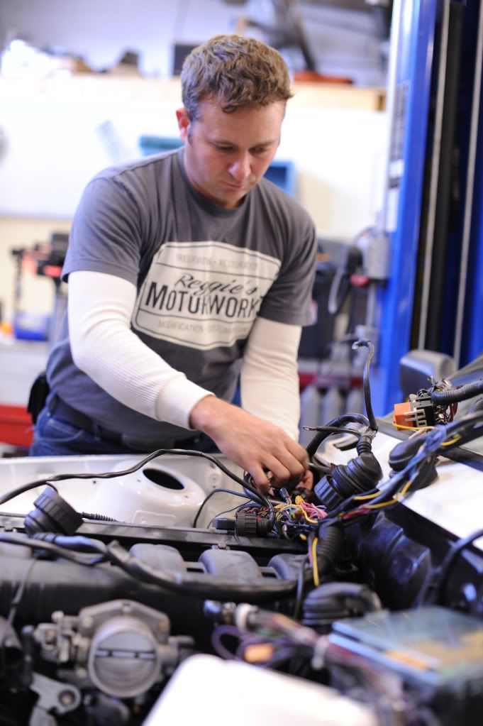 Reggies MotorWorks | Repairing BMW, Audi, Mercedes