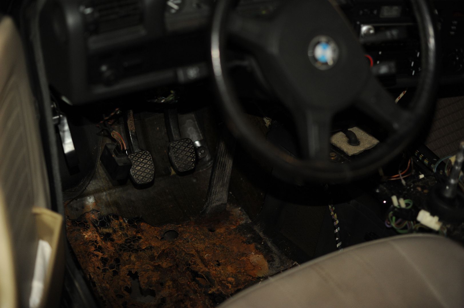 Reggies MotorWorks | Repairing BMW, Audi, Mercedes