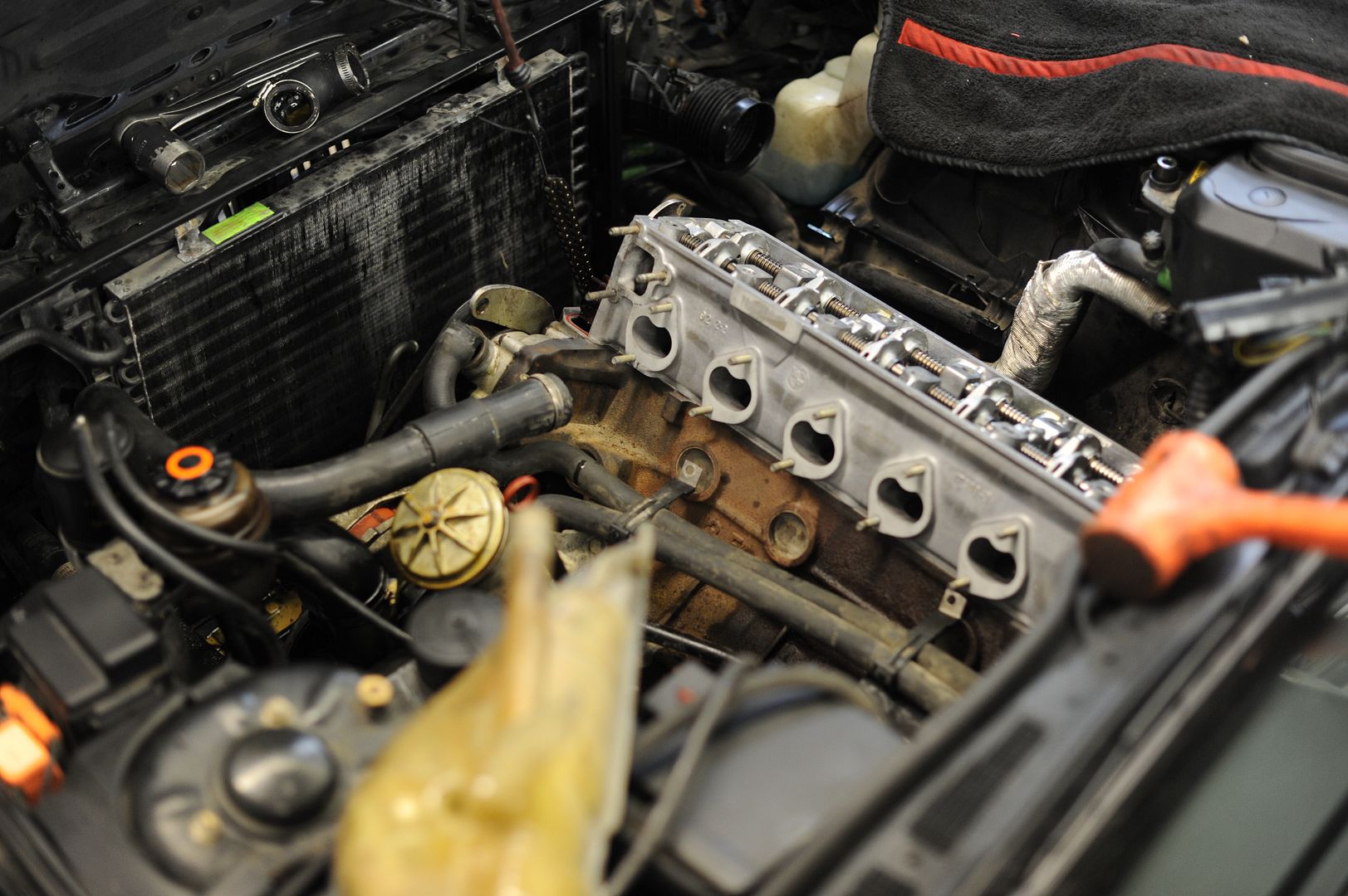 Reggies MotorWorks | Repairing BMW, Audi, Mercedes