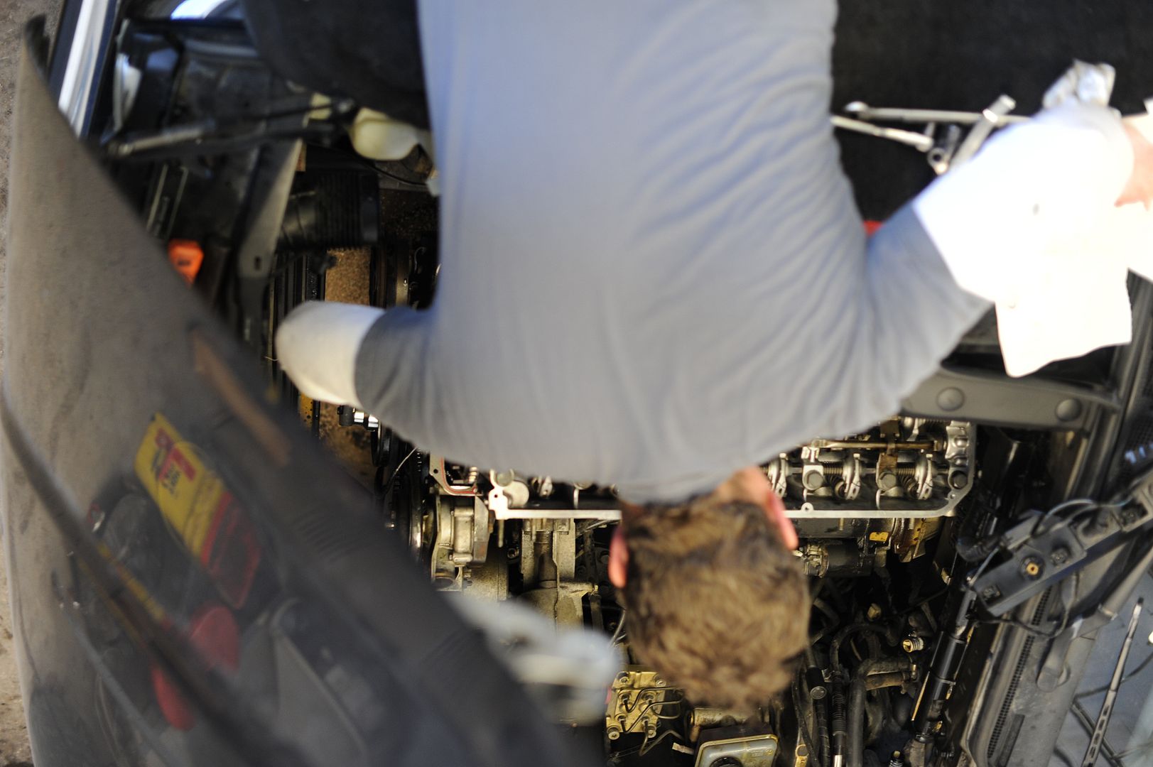 Reggies MotorWorks | Repairing BMW, Audi, Mercedes