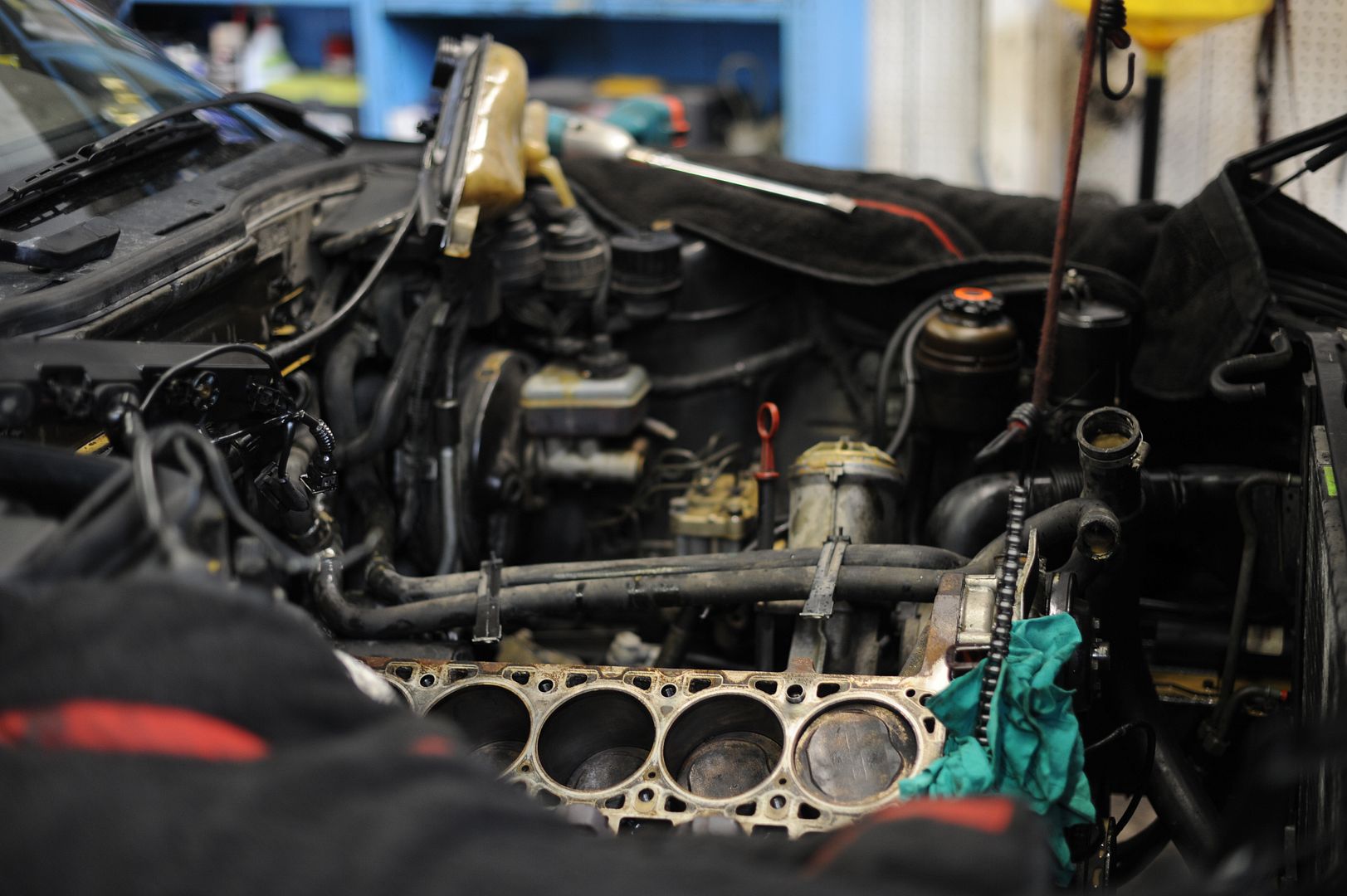Reggies MotorWorks | Repairing BMW, Audi, Mercedes
