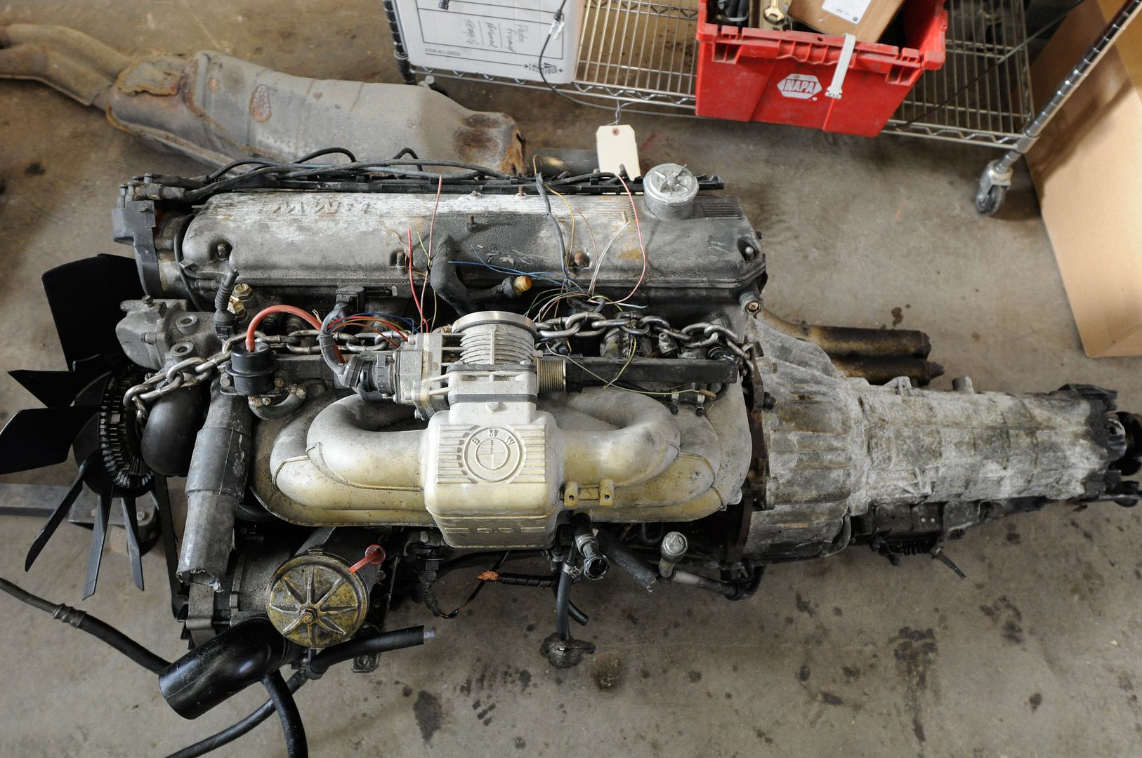 Reggies MotorWorks | Repairing BMW, Audi, Mercedes