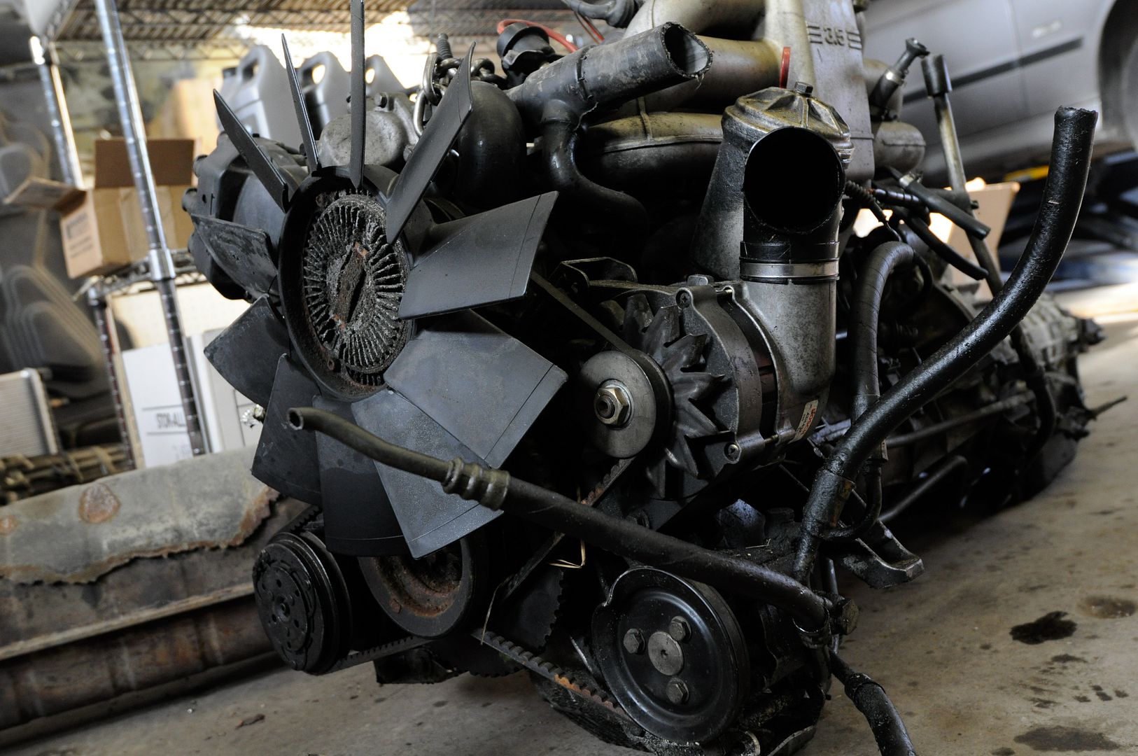 Reggies MotorWorks | Repairing BMW, Audi, Mercedes