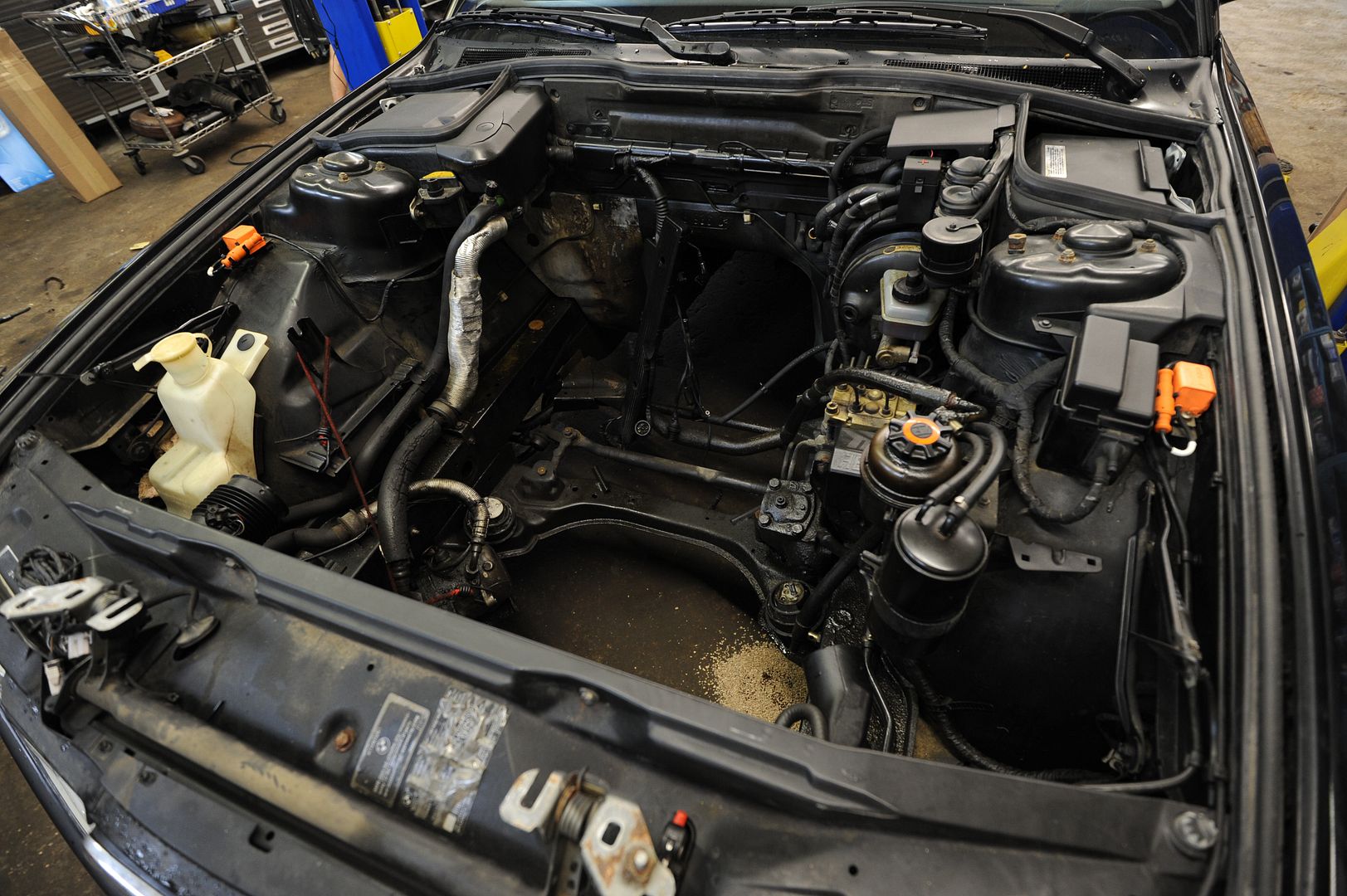 Reggies MotorWorks | Repairing BMW, Audi, Mercedes