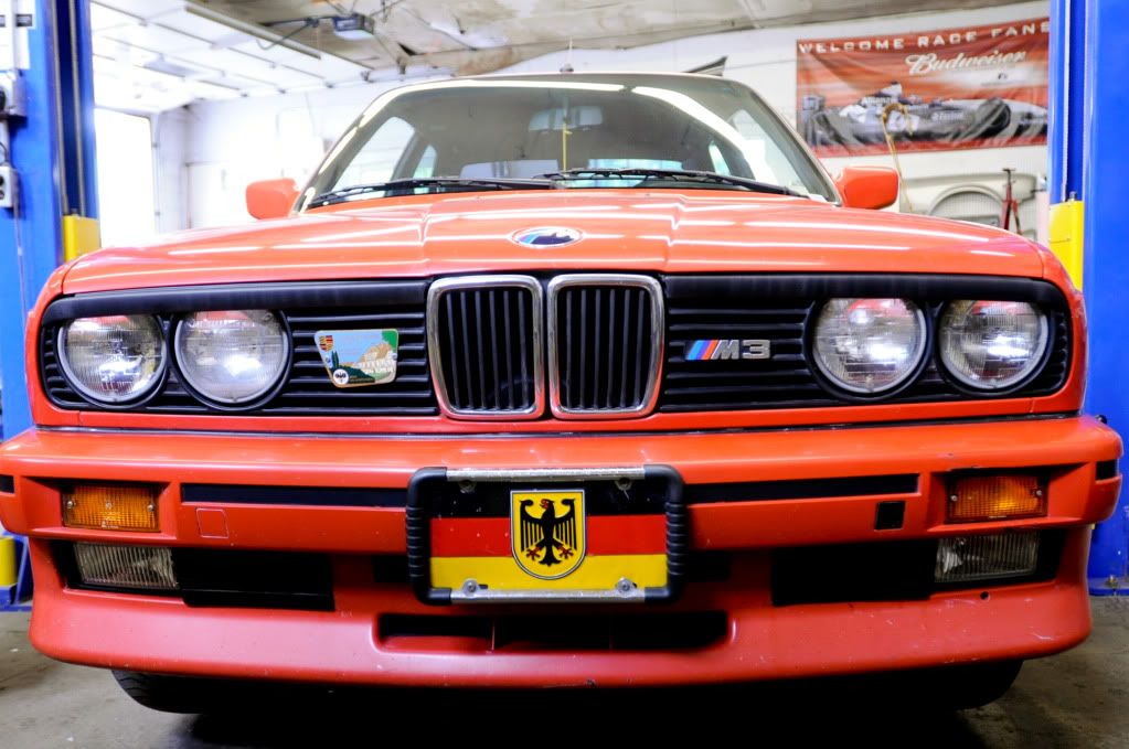 Reggies MotorWorks | Repairing BMW, Audi, Mercedes