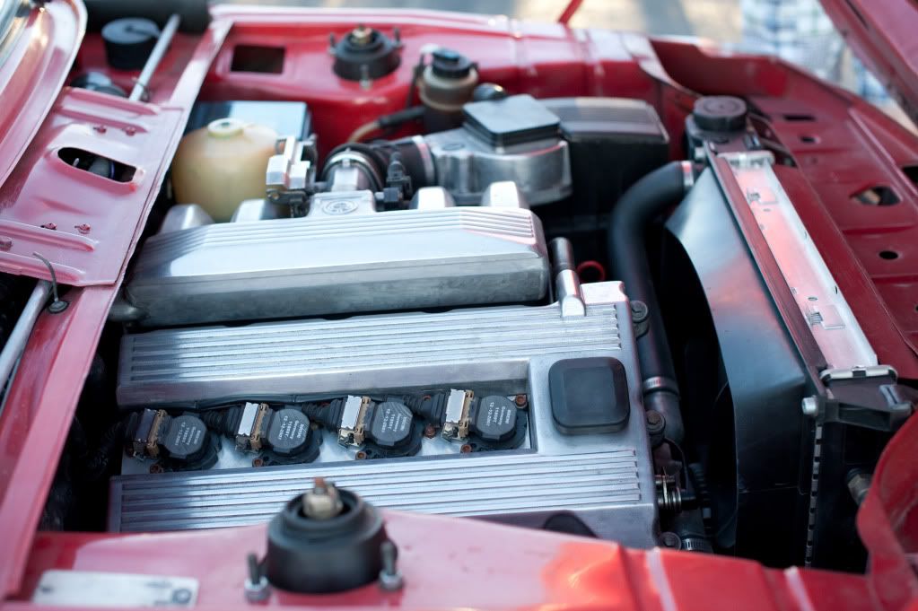 Reggies MotorWorks | Repairing BMW, Audi, Mercedes