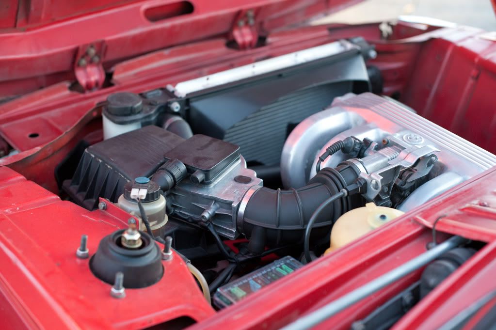 Reggies MotorWorks | Repairing BMW, Audi, Mercedes
