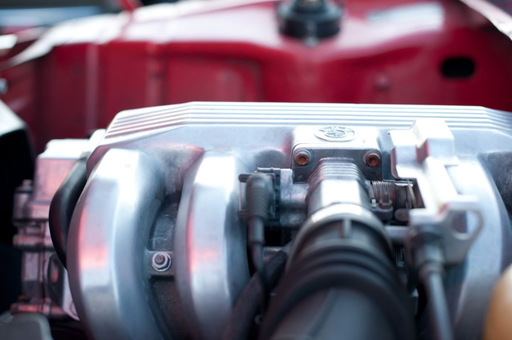 Reggies MotorWorks | Repairing BMW, Audi, Mercedes
