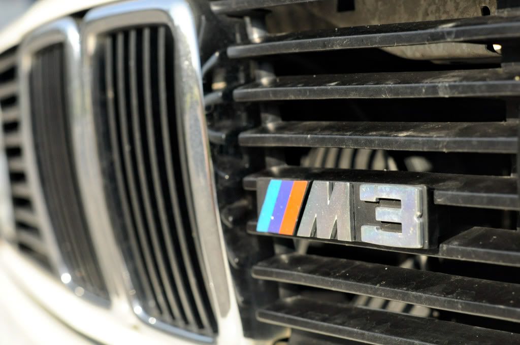 Reggies MotorWorks | Repairing BMW, Audi, Mercedes