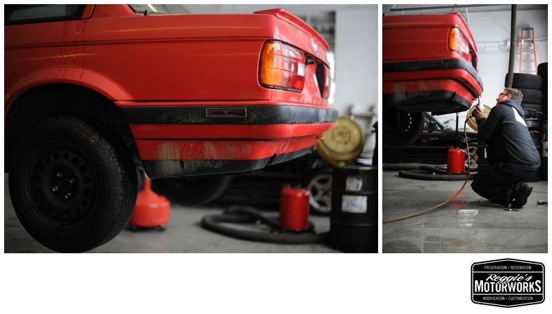 Reggies MotorWorks | Repairing BMW, Audi, Mercedes