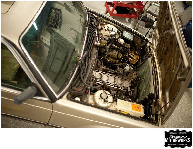 Reggies MotorWorks | Repairing BMW, Audi, Mercedes
