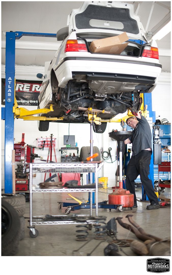 Reggies MotorWorks | Repairing BMW, Audi, Mercedes
