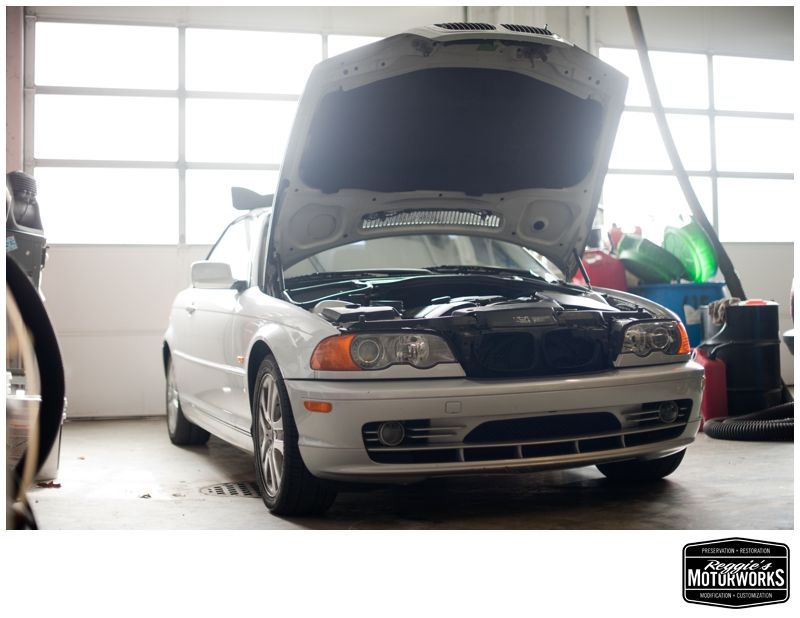 Reggies MotorWorks | Repairing BMW, Audi, Mercedes