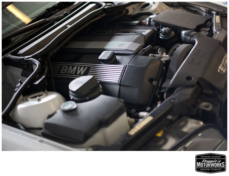 Reggies MotorWorks | Repairing BMW, Audi, Mercedes