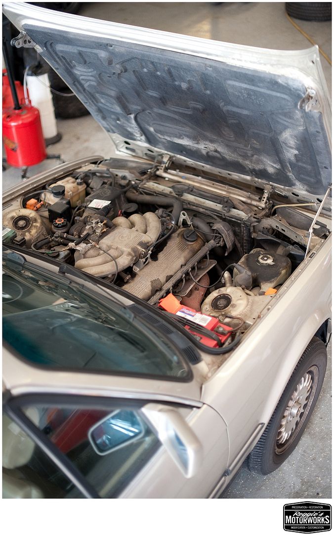 Reggies MotorWorks | Repairing BMW, Audi, Mercedes