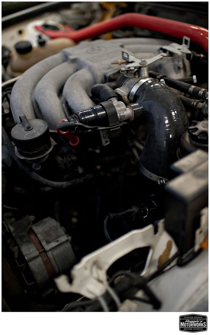 Reggies MotorWorks | Repairing BMW, Audi, Mercedes