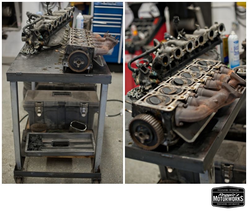 Reggies MotorWorks | Repairing BMW, Audi, Mercedes
