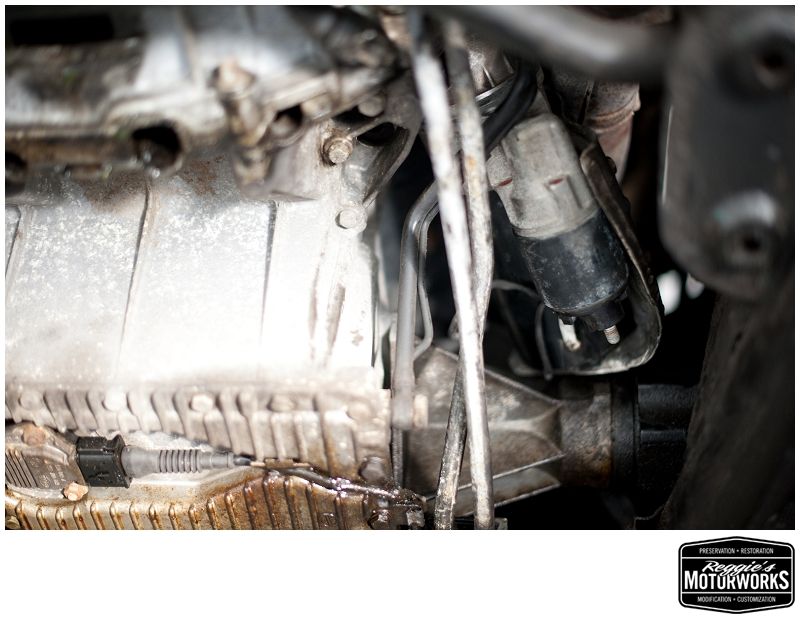 Reggies MotorWorks | Repairing BMW, Audi, Mercedes