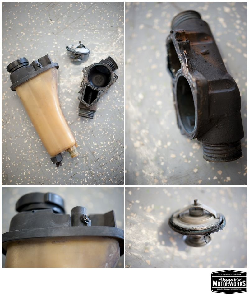 Reggies MotorWorks | Repairing BMW, Audi, Mercedes