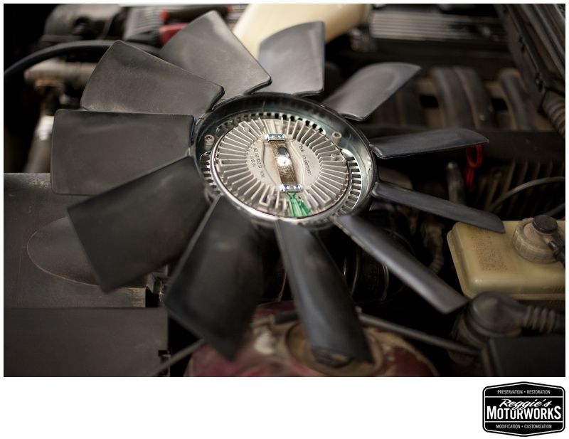 Reggies MotorWorks | Repairing BMW, Audi, Mercedes