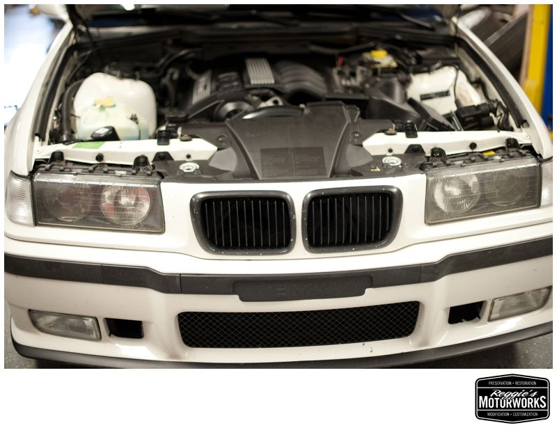 Reggies MotorWorks | Repairing BMW, Audi, Mercedes