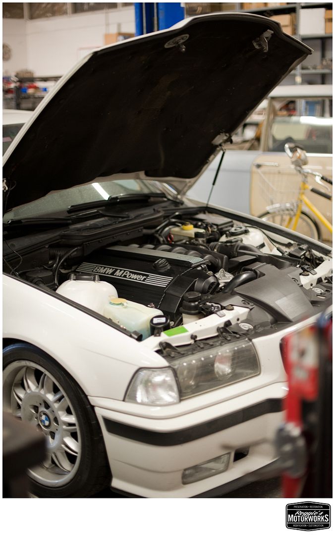 Reggies MotorWorks | Repairing BMW, Audi, Mercedes