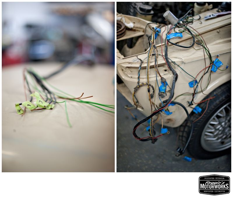 Reggies MotorWorks | Repairing BMW, Audi, Mercedes
