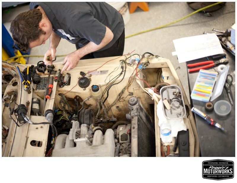 Reggies MotorWorks | Repairing BMW, Audi, Mercedes