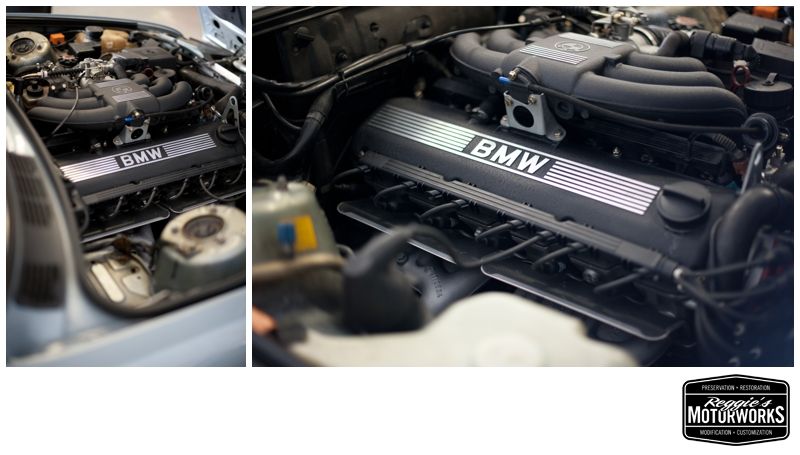 Reggies MotorWorks | Repairing BMW, Audi, Mercedes