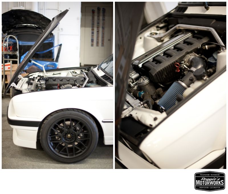 Reggies MotorWorks | Repairing BMW, Audi, Mercedes