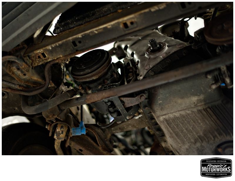 Reggies MotorWorks | Repairing BMW, Audi, Mercedes