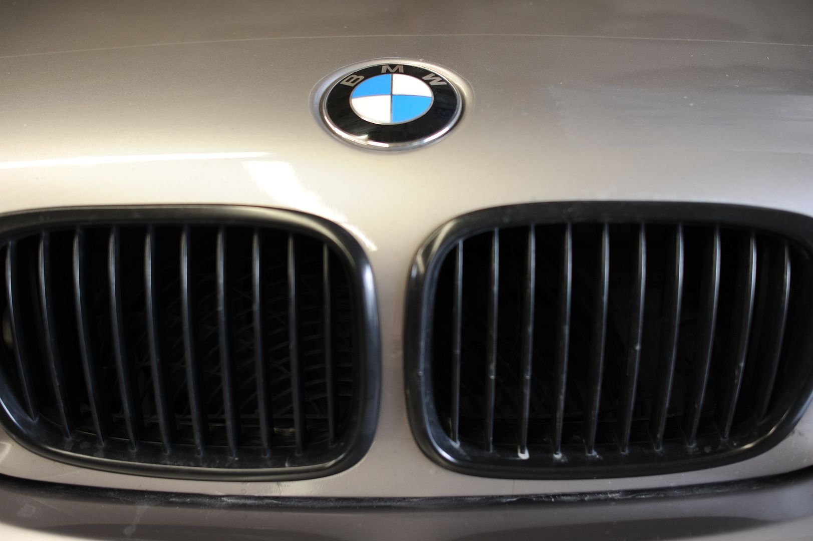 Reggies MotorWorks | Repairing BMW, Audi, Mercedes