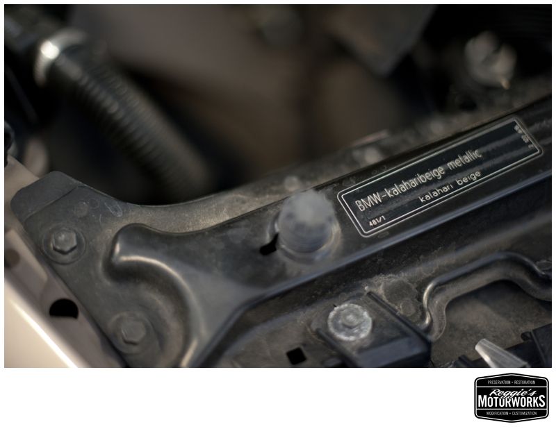 Reggies MotorWorks | Repairing BMW, Audi, Mercedes