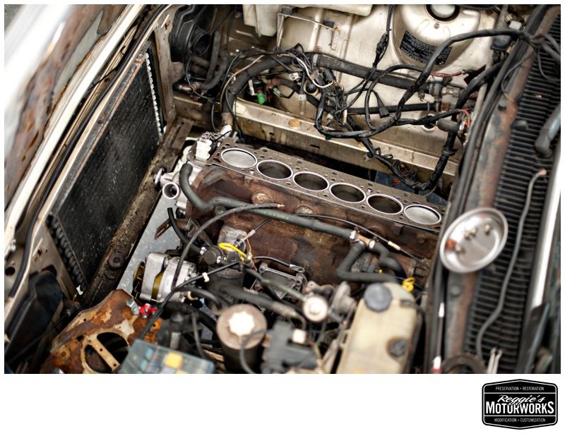 Reggies MotorWorks | Repairing BMW, Audi, Mercedes