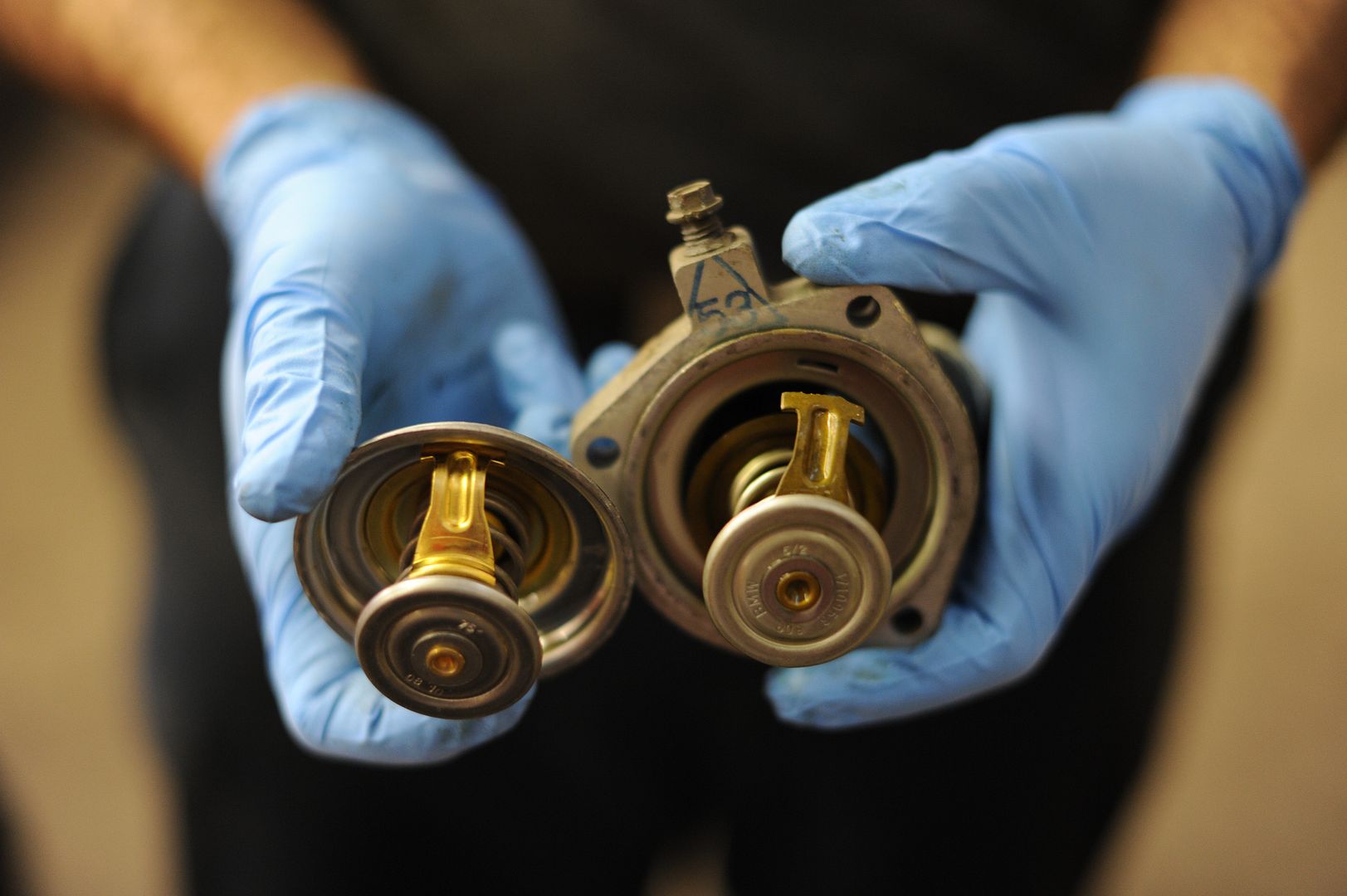 Reggies MotorWorks | Repairing BMW, Audi, Mercedes