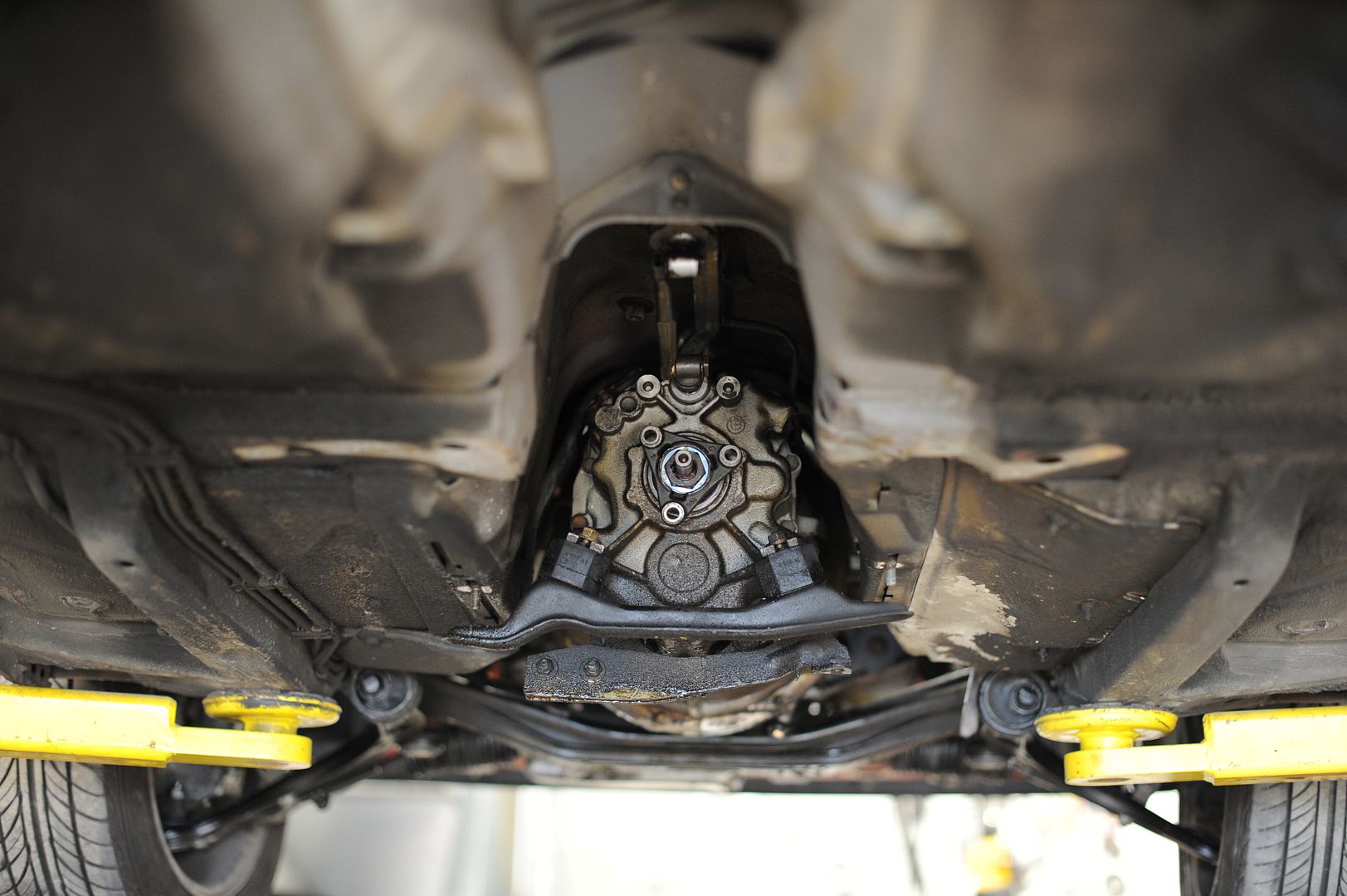 Reggies MotorWorks | Repairing BMW, Audi, Mercedes