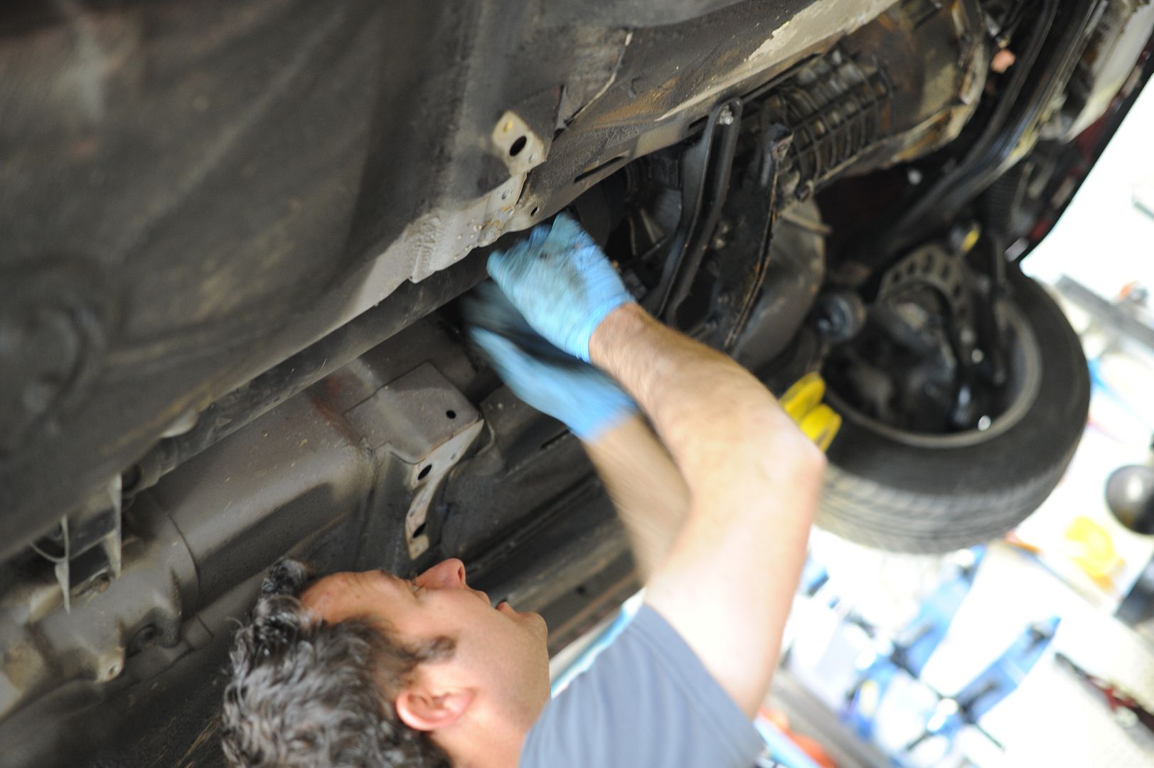 Reggies MotorWorks | Repairing BMW, Audi, Mercedes
