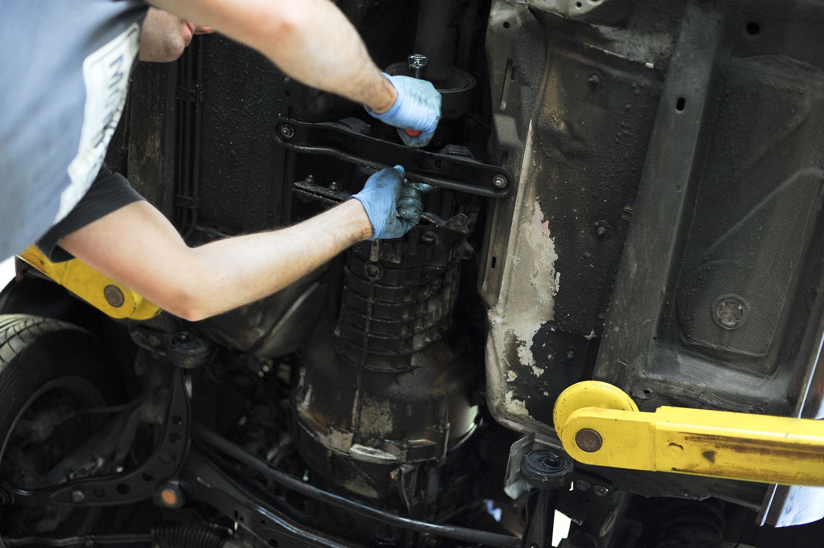 Reggies MotorWorks | Repairing BMW, Audi, Mercedes
