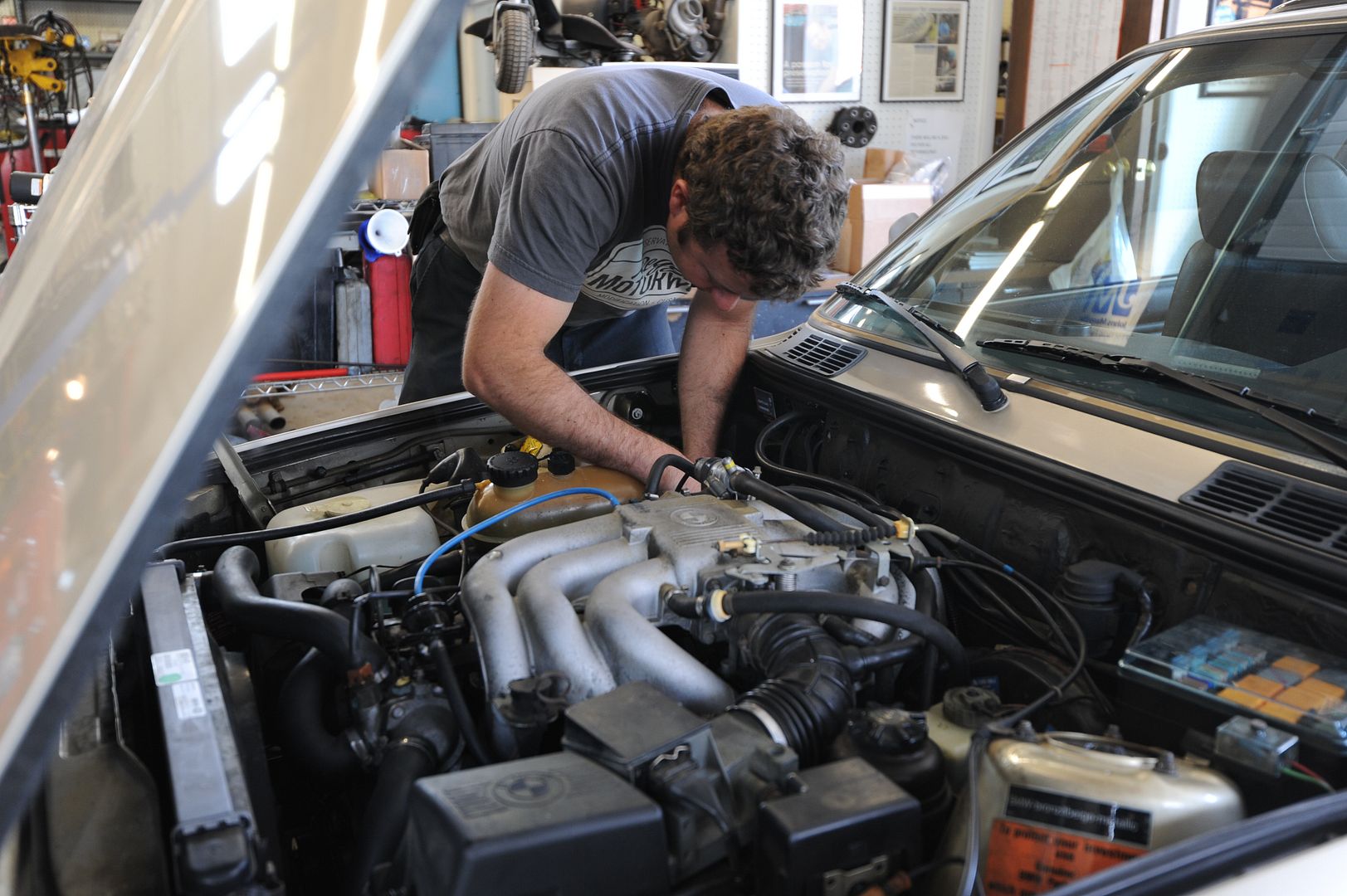 Reggies MotorWorks | Repairing BMW, Audi, Mercedes