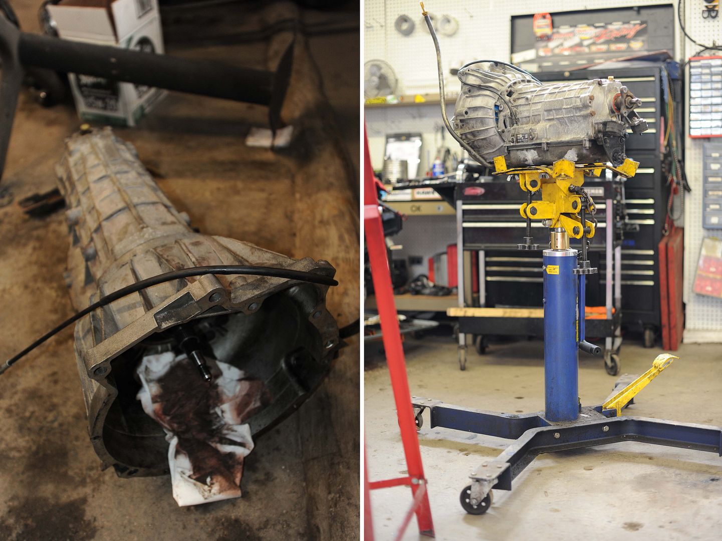 Reggies MotorWorks | Repairing BMW, Audi, Mercedes
