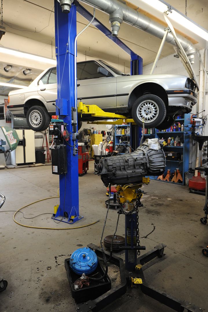 Reggies MotorWorks | Repairing BMW, Audi, Mercedes