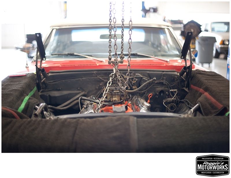 Reggies MotorWorks | Repairing BMW, Audi, Mercedes